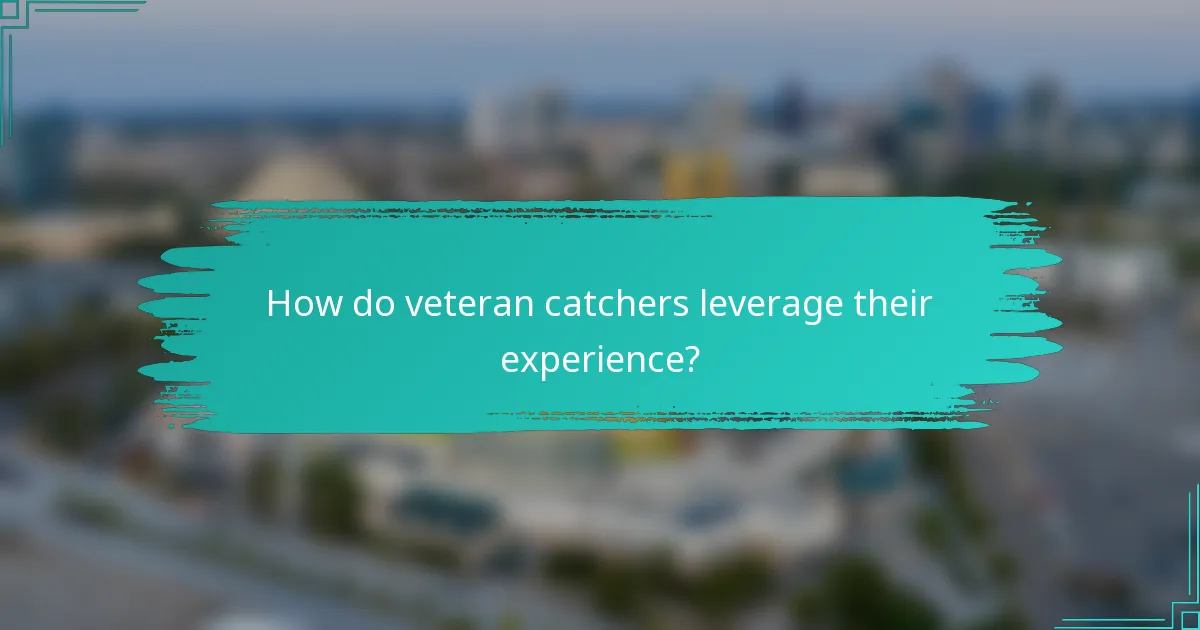 How do veteran catchers leverage their experience?