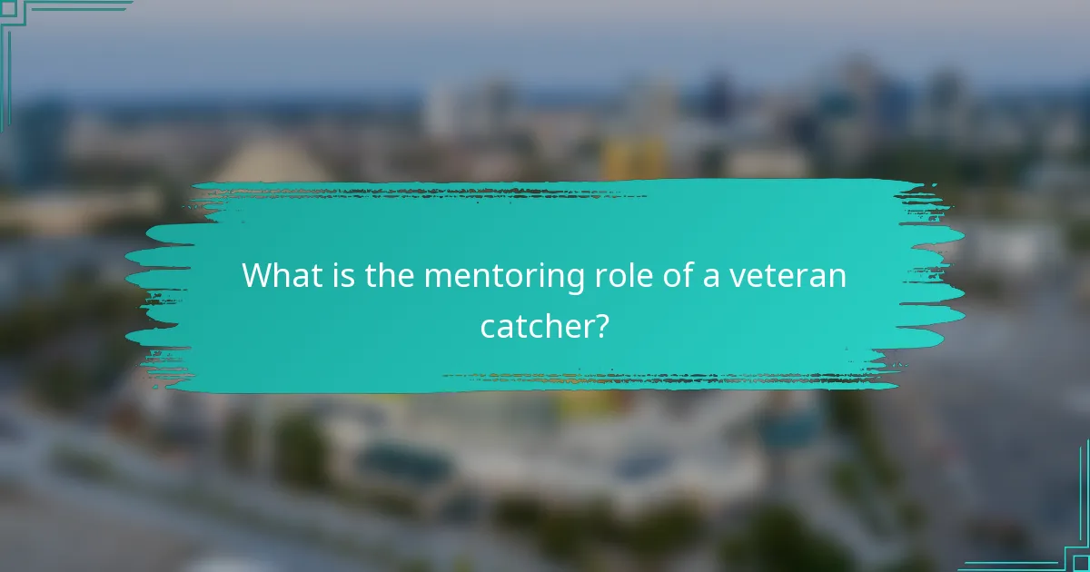 What is the mentoring role of a veteran catcher?